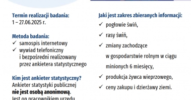 31R-ZW-S_1 (1).jpg